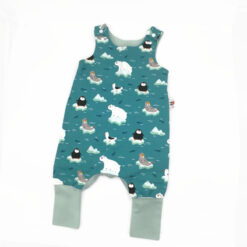 Téli-Antarktiszos Rompnitta