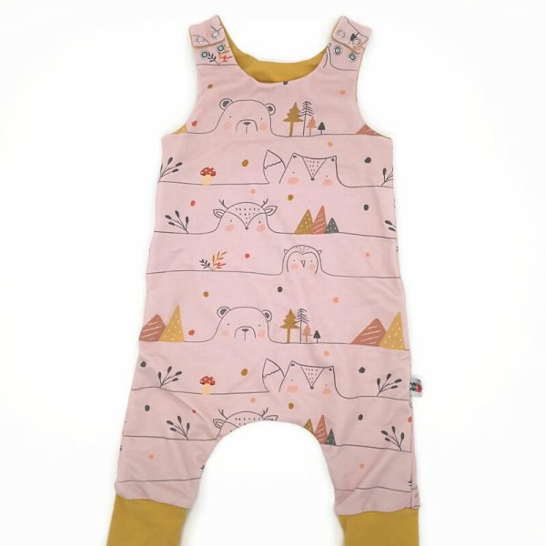 Átmeneti erdei vonal állatos Rompnitta