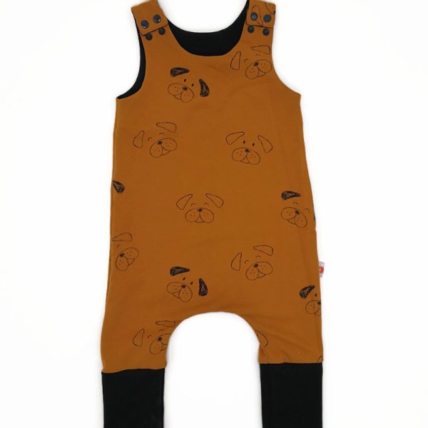 Téli-kutyás Rompnitta