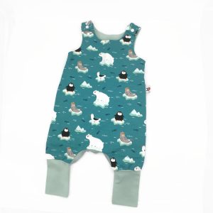 Téli-Antarktiszos Rompnitta