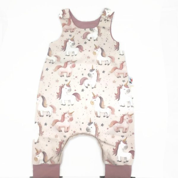 Átmeneti világűrös rompnitta