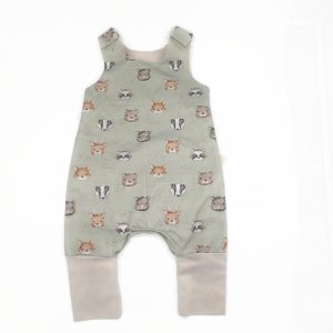 Átmeneti világűrös rompnitta