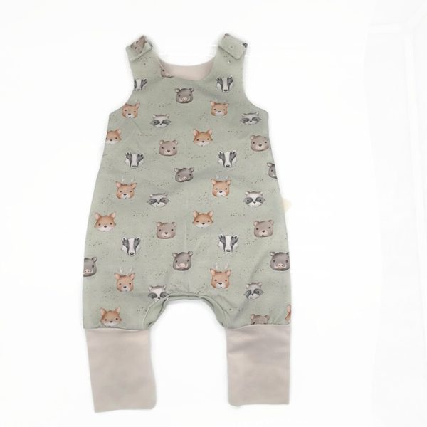 Átmeneti világűrös rompnitta