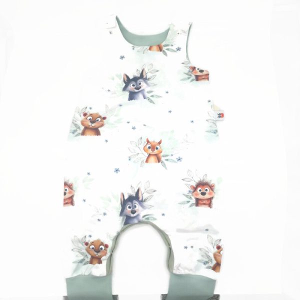 Átmeneti világűrös rompnitta